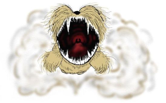 CRAZY DOG - CLOUD - FINAL BLOG