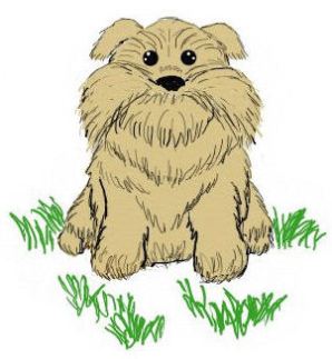 CRAZY DOG - QUIET - FINAL BLOG.jpg