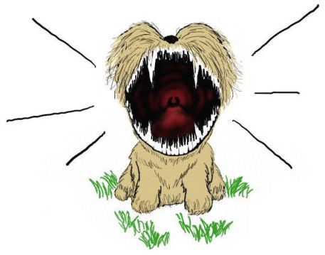 CRAZY DOG - SITTING - FINAL BLOG