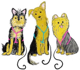 FFO HARNESS - FINALa