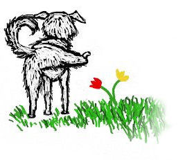 daisy-dog-final1-blog