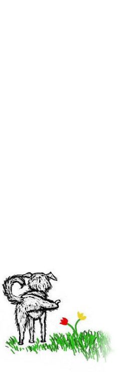 daisy-dog-final1-bloga