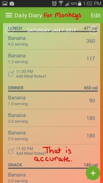 sat-lunch-din-bananas-monkeys